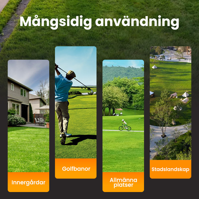 Gräsfrön för gräsmatta och golfbana