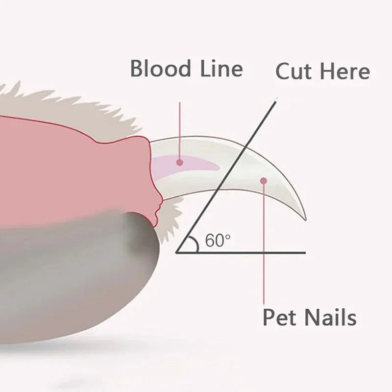 PawClip™ - Professionell hundklippare för trygg och effektiv pälsvård