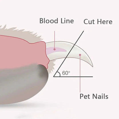 PawClip™ - Professionell hundklippare för trygg och effektiv pälsvård
