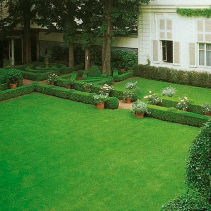 Gräsfrön för gräsmatta och golfbana